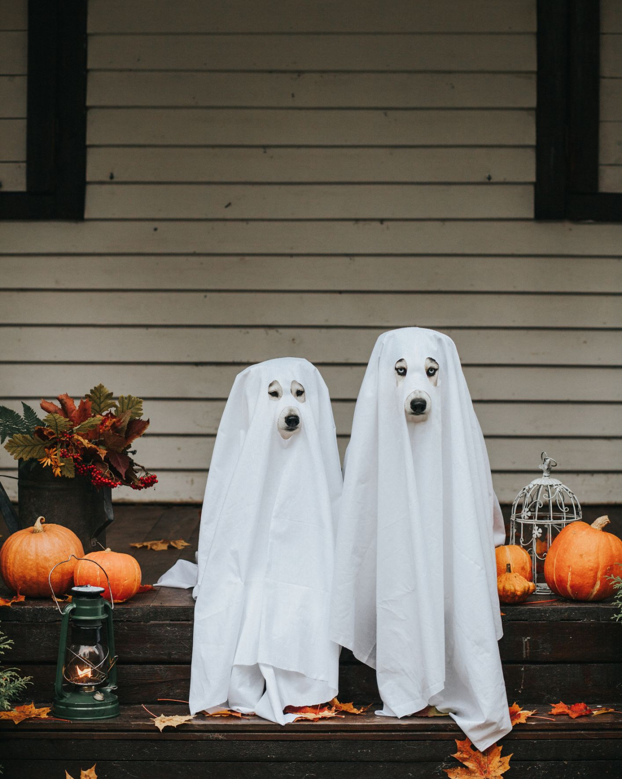 Best Outdoor Halloween Decorations to Try in