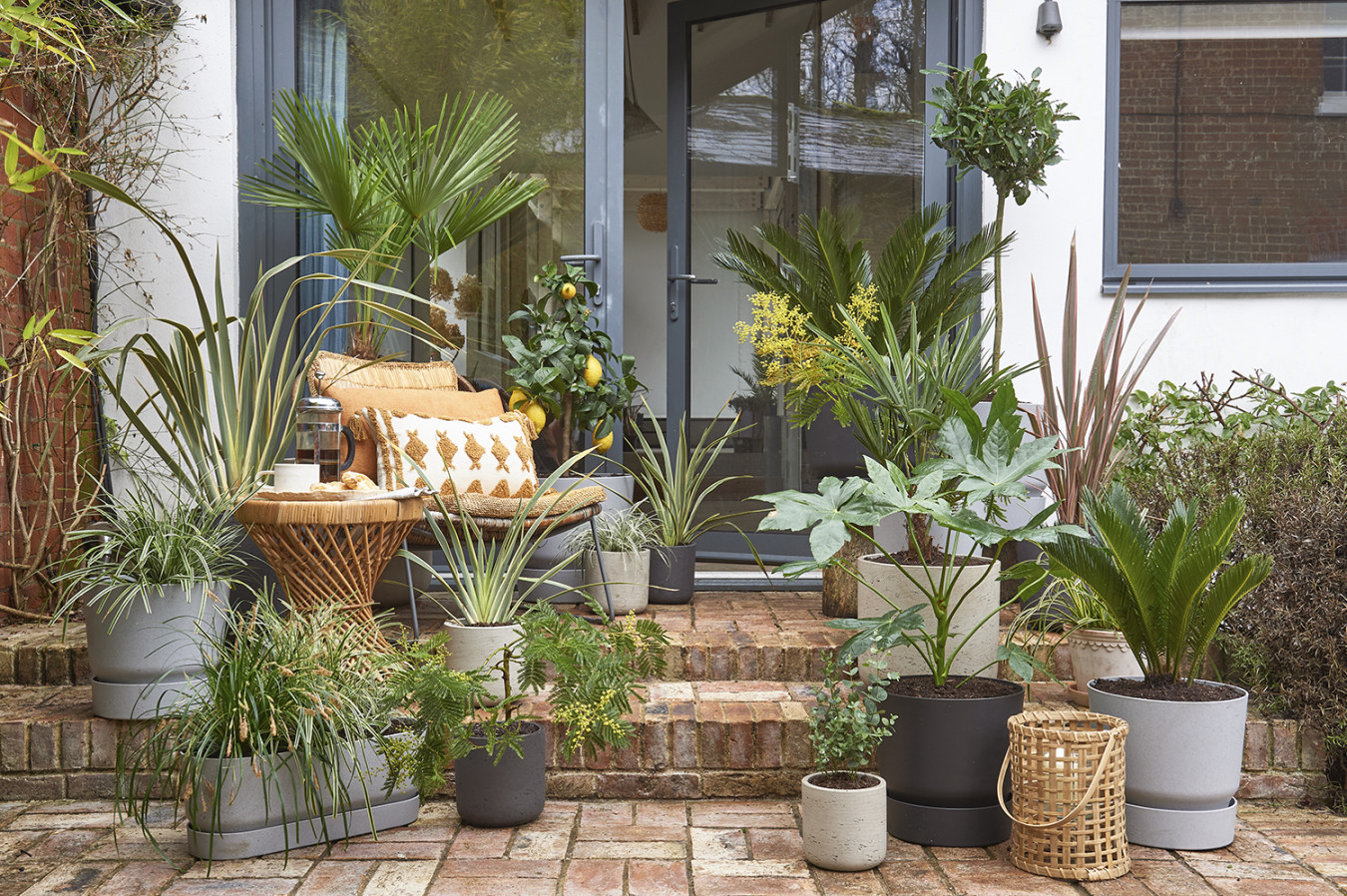 ideas for small gardens on a budget - how to maximise style for
